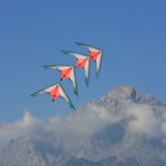 4 acrobatici