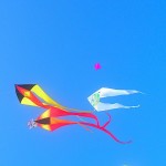 DSCN8889