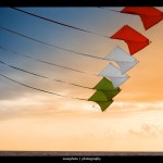 Dinakites tricolori rid.