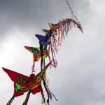 _MG_3357